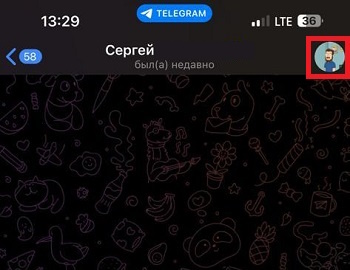 иконка профиля телеграм на айфоне