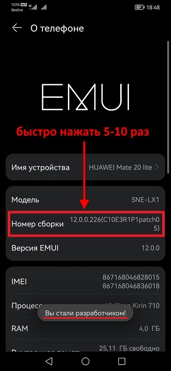 надпись: "Вы стали разработчиком!"